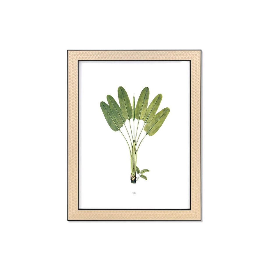 The Mia Vimini Fotoğraf Çerçevesi Siyah 30x40 Cm