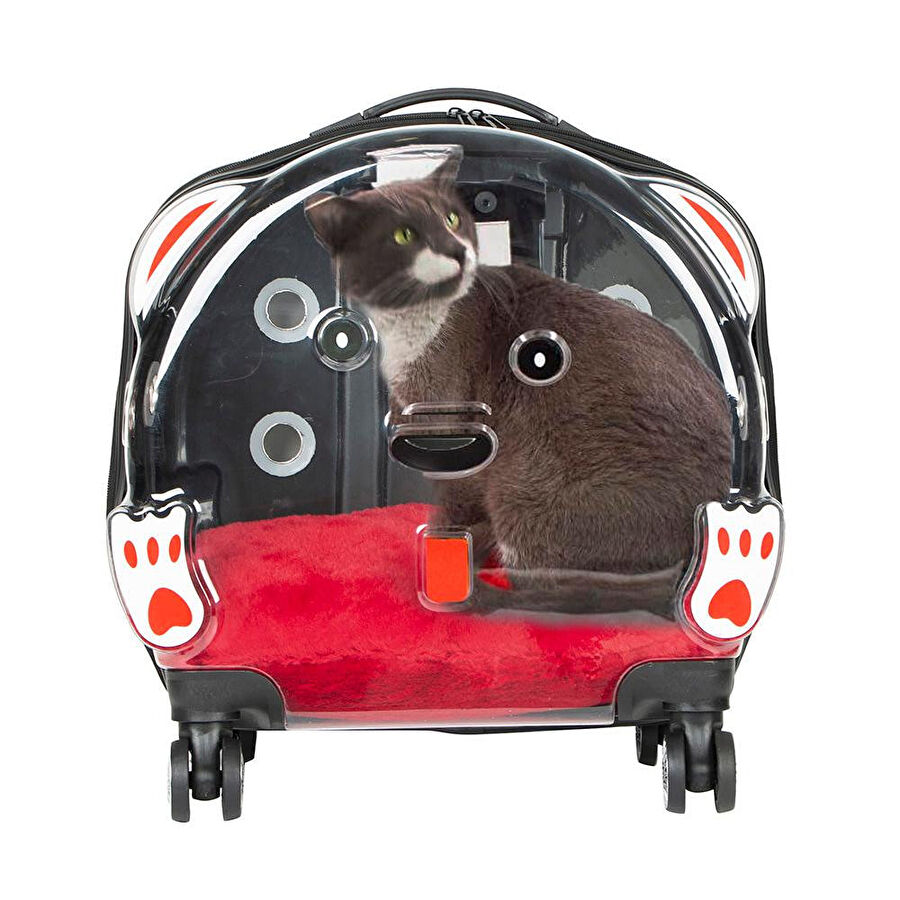 Bloominbag Pawbuddy Glide – Siyah Şeffaf Tekerlekli Pet Seyahat Kabini