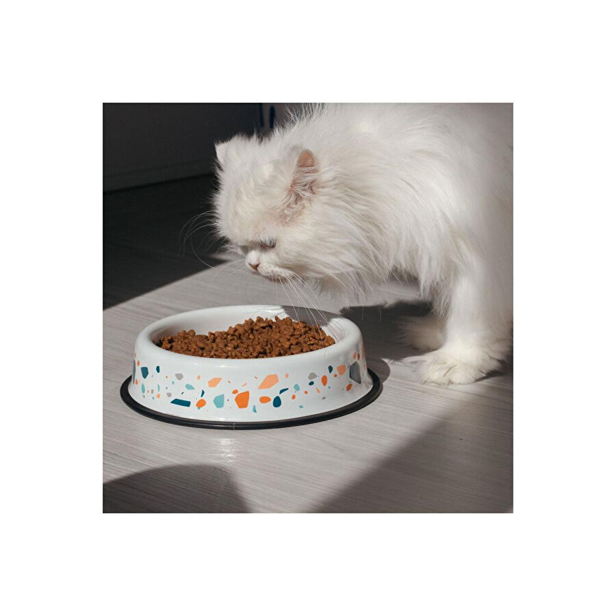 Emaylab Emaye Kedi Köpek Mama Ve Su Kabı