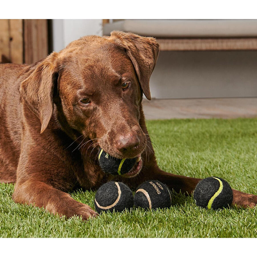 Tchibo Köpekler İçin Oyuncak Toplar