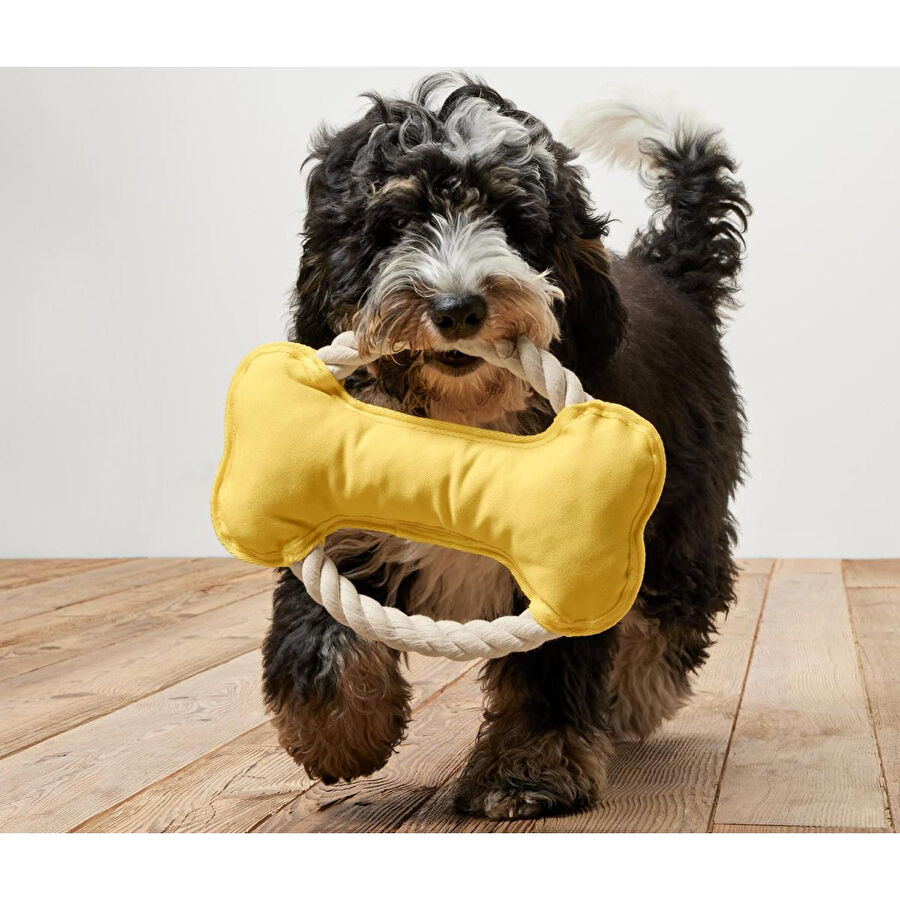 Tchibo Köpek Oyuncağı, Halat