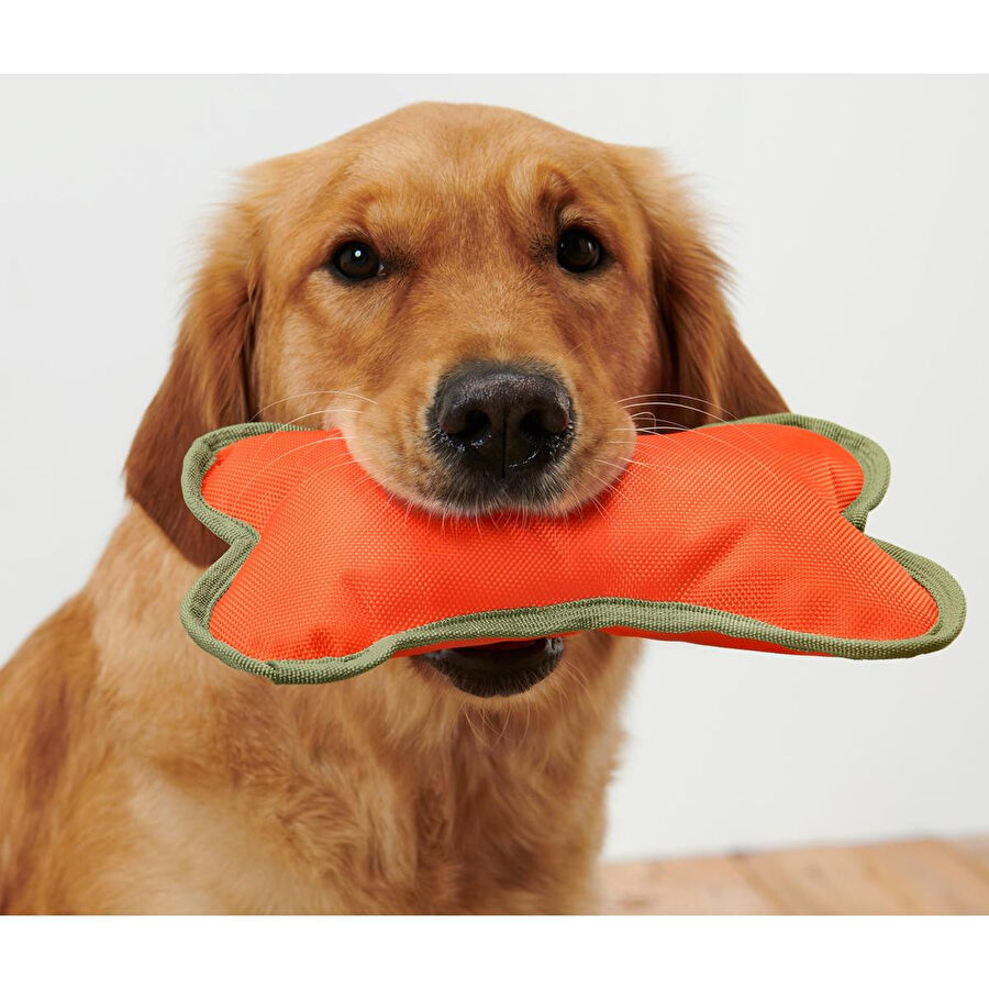 Tchibo Köpekler Için Oyuncak Kemik