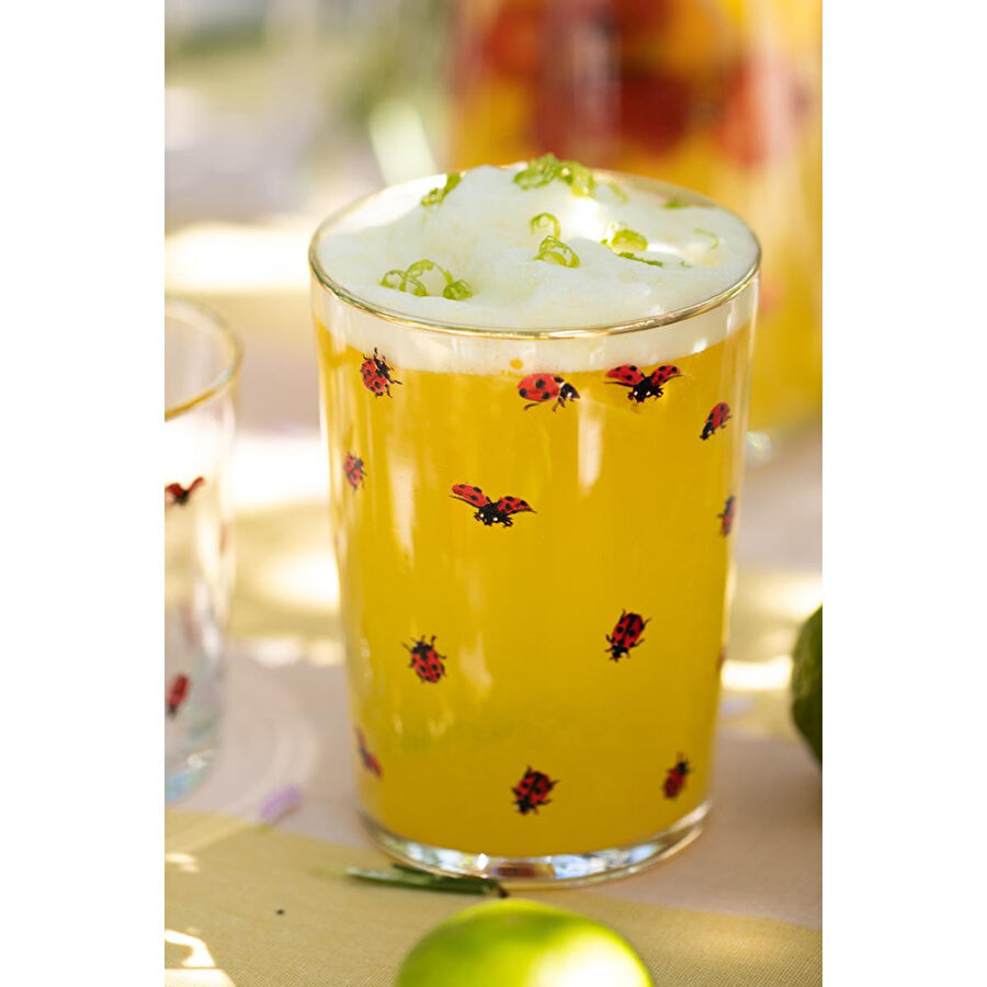 Rakle Lady Bird 4'lü Meşrubat Bardağı Seti 510 Cc