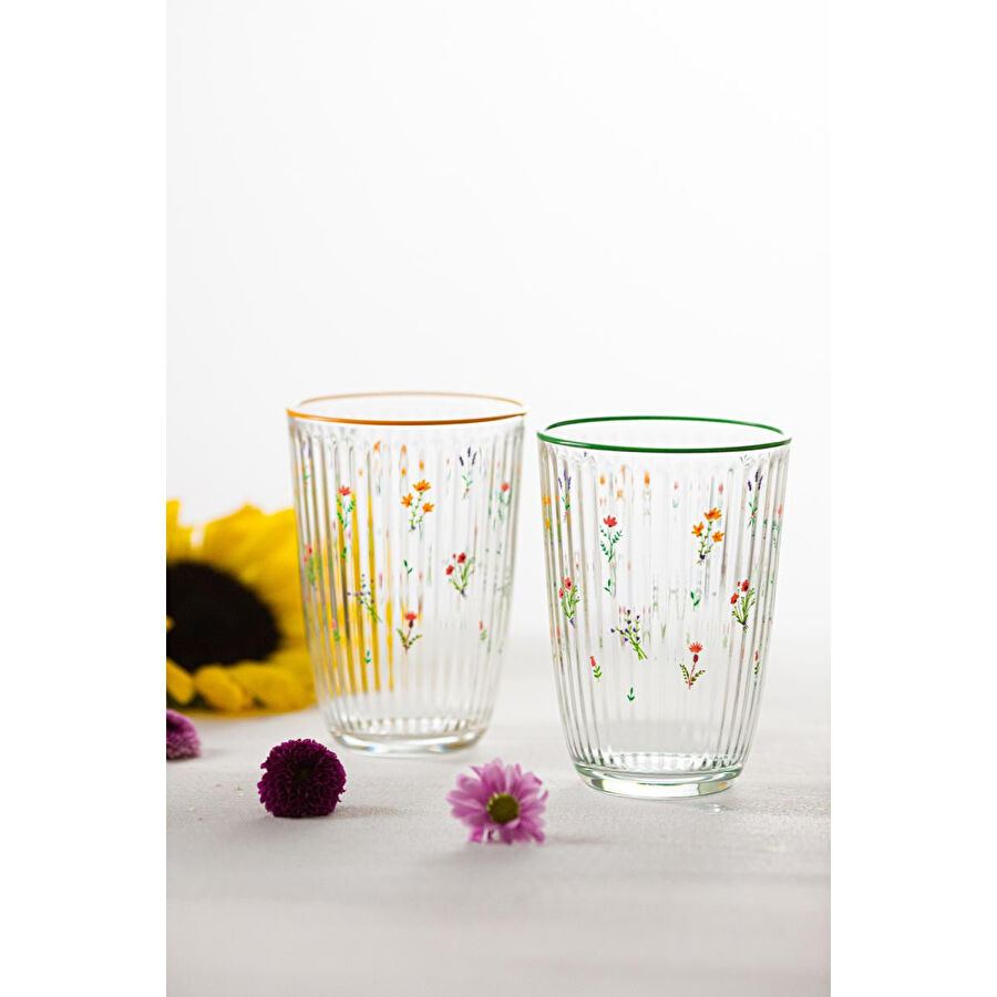 Rakle Botanical 4'lü Meşrubat Bardağı Seti 395 Cc