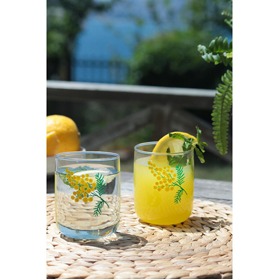 Rakle Mimoza 4'lü Su Bardağı Seti 280 Cc