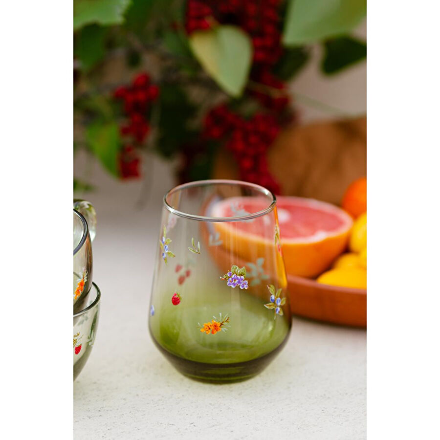 Rakle Jardin 4'lü Su Bardağı Seti 425 Cc