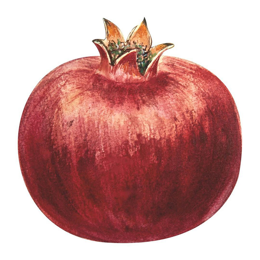 Maxxdeco Supla Servis- 12195