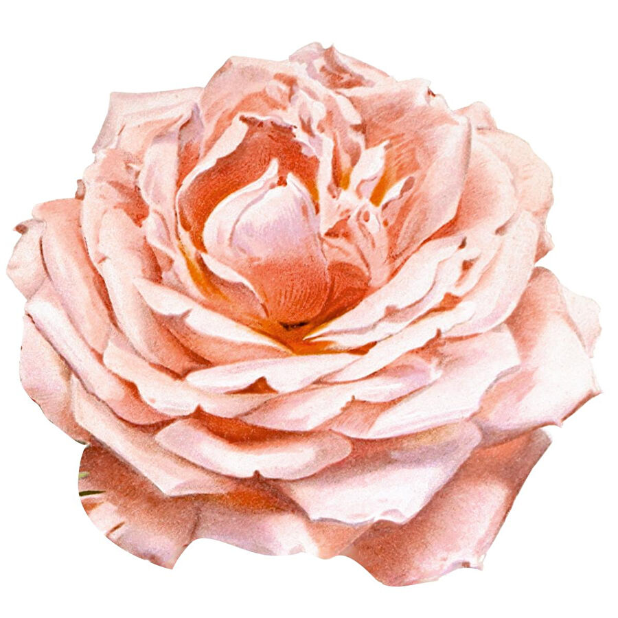 Maxxdeco Supla Servi̇si̇-12570