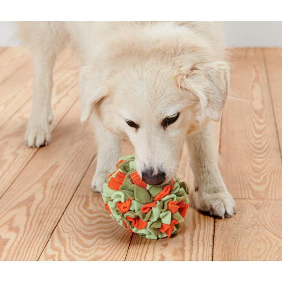 Tchibo Köpekler İçin Koklama Topu, Geri Dön. Pes