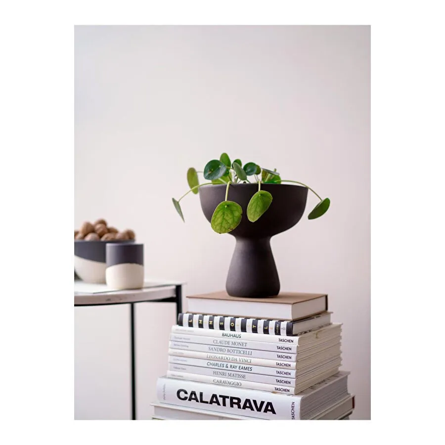 Beige & Stone Mushroom Vazo Dekoratif Obje