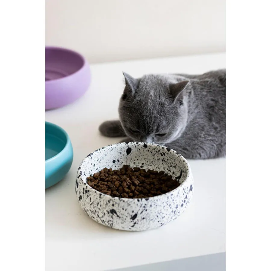 Beige & Stone Seramik El Yapımı Mama / Su Kabı (s) - Benekli 14 Cm