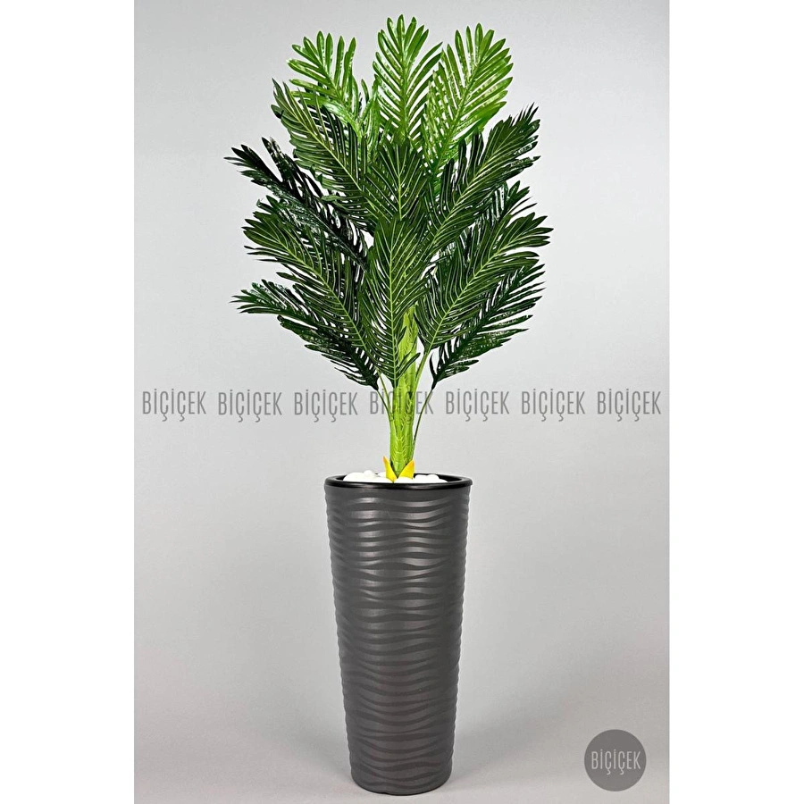 Biçiçek 150cm Areka Ağacı Kumsal Saksıda 2