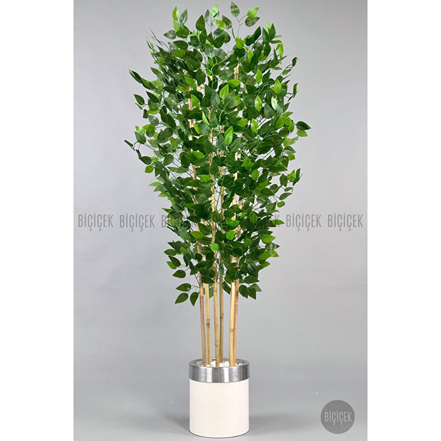 Biçiçek Yapay Benjamin Ağacı 170cm Krem Metal Saksıda Gümüş