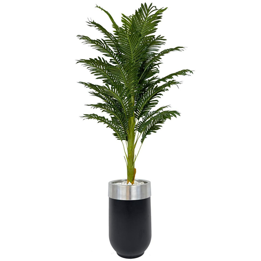Biçiçek Areka Palmiyesi 170cm Metal Siyah Gümüş Darbuka Saksıda