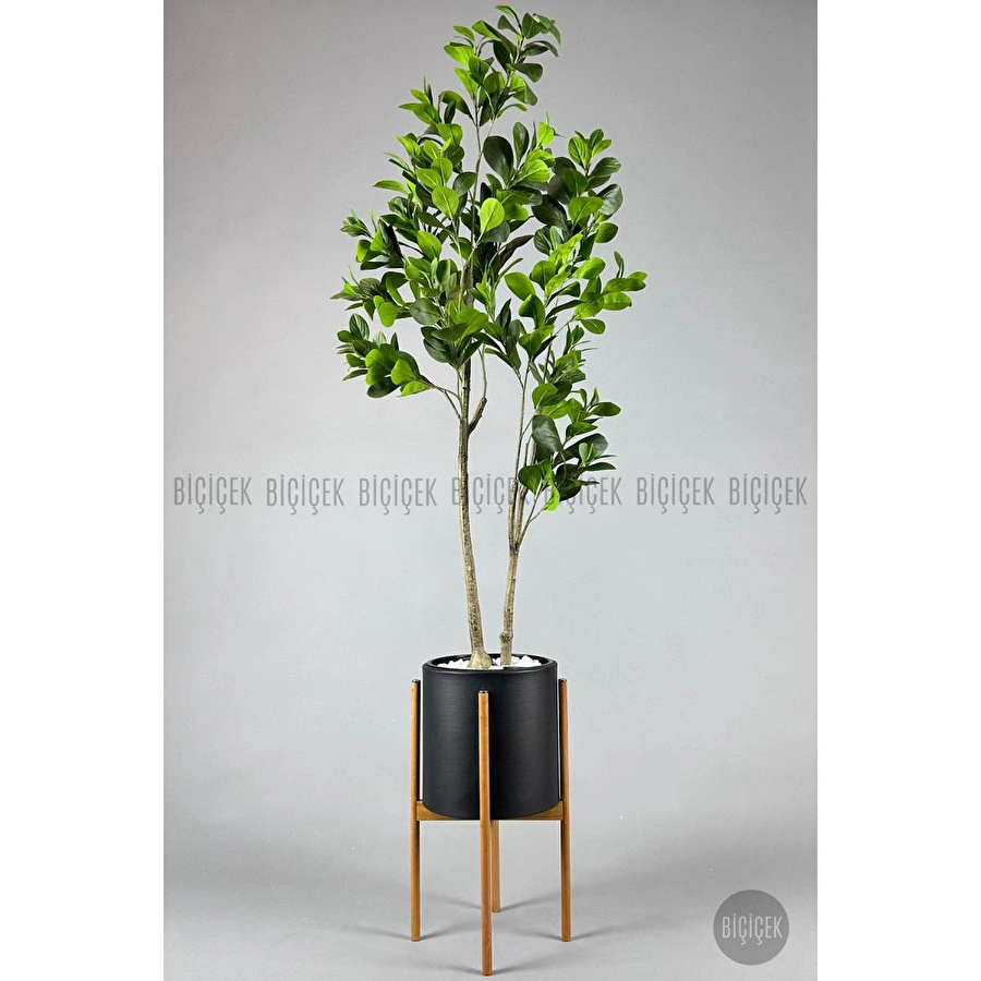 Biçiçek Yapay Manolya Ağacı 150-180cm Siyah1