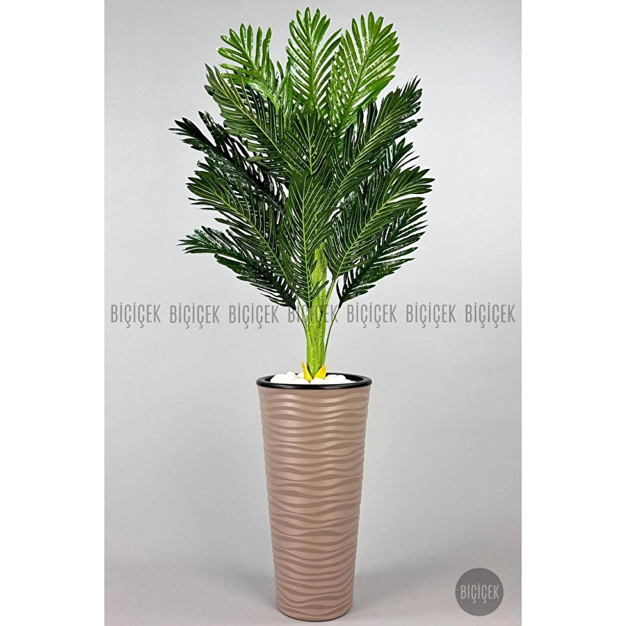 Biçiçek 150cm Areka Ağacı Kumsal Saksıda 3