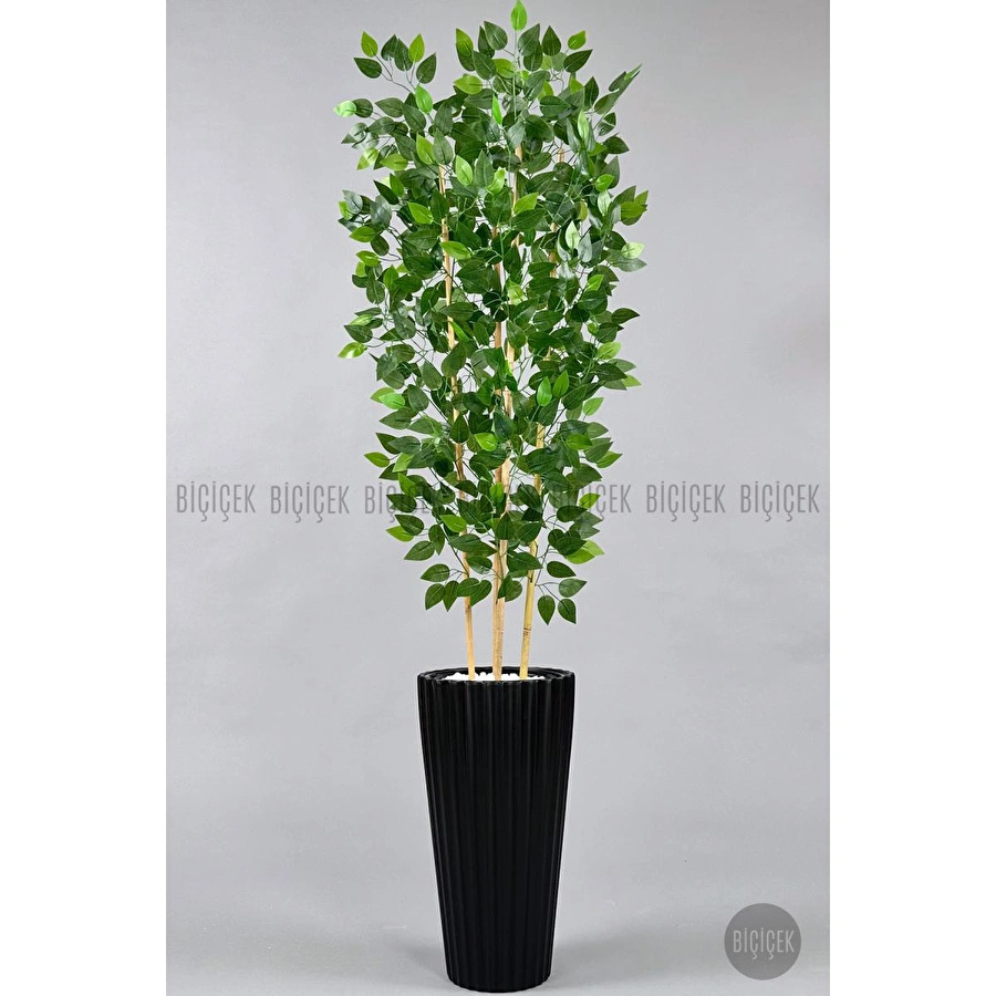 Biçiçek Yapay Bambu Ve Benjamin 4 Dal Yoğun Yapraklı 180 Cm Siyahbenjamin