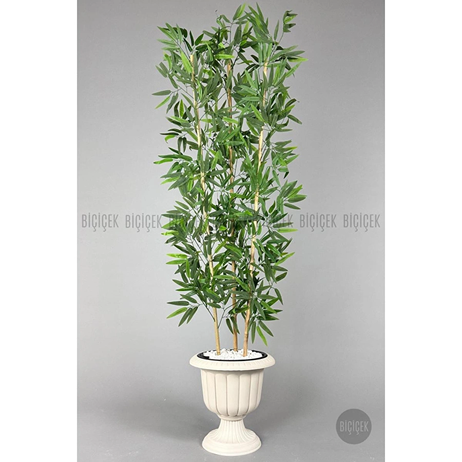 Biçiçek Yapay Bambu Ağacı 170cm Yoğun Yapraklı Kırık Beyaz Renk Nergis Saksıda