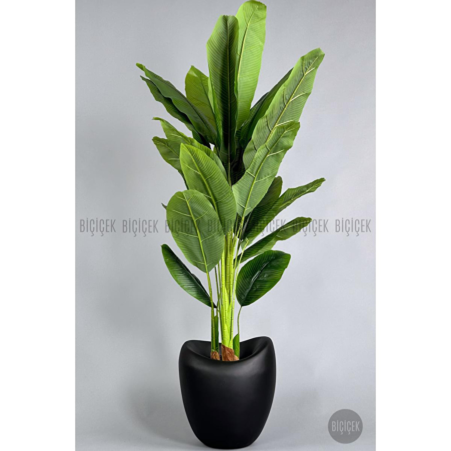 Biçiçek Yapay Muz Ağacı 185-220 Cm Siyah