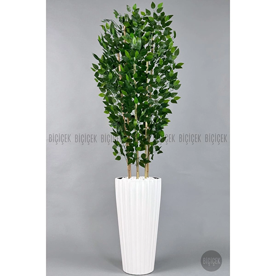 Biçiçek Yapay Bambu Ve Benjamin 6 Dallı Yoğun Yapraklı 220 Cm Beyazbenjami̇n