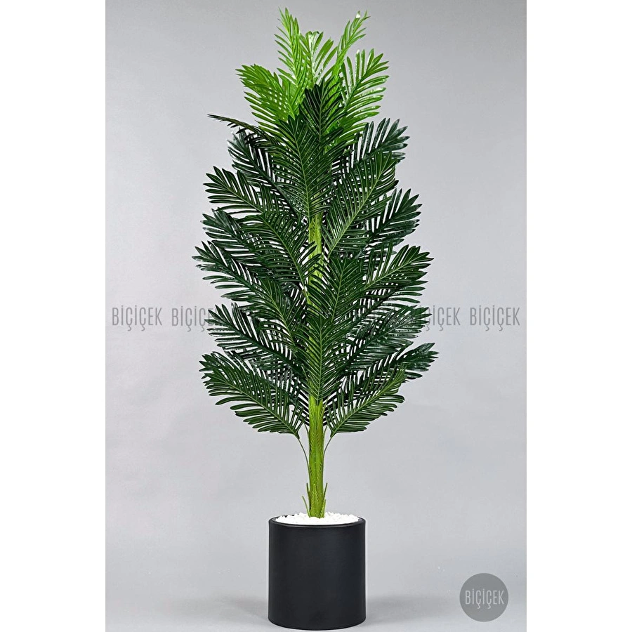 Biçiçek Yapay Areka Ağacı 160-180 Cm Siyahdüz170cm