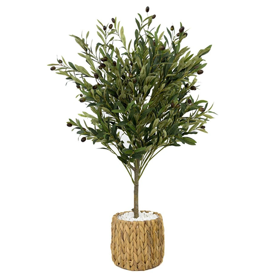 Biçiçek Zeytin Ağacı 100 Cm Hasır Bohem2 Saksıda