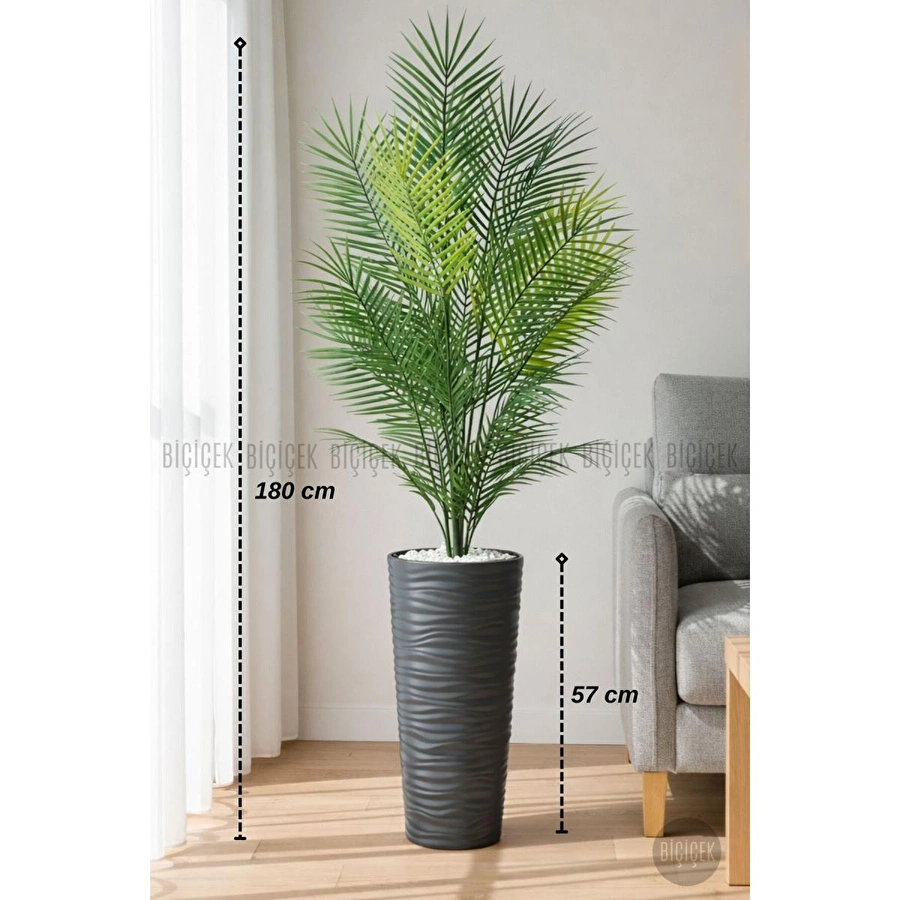 Biçiçek 180 Cm Areka Ağaci 24 Yaprakli Li̇lyum Saksida Antresit