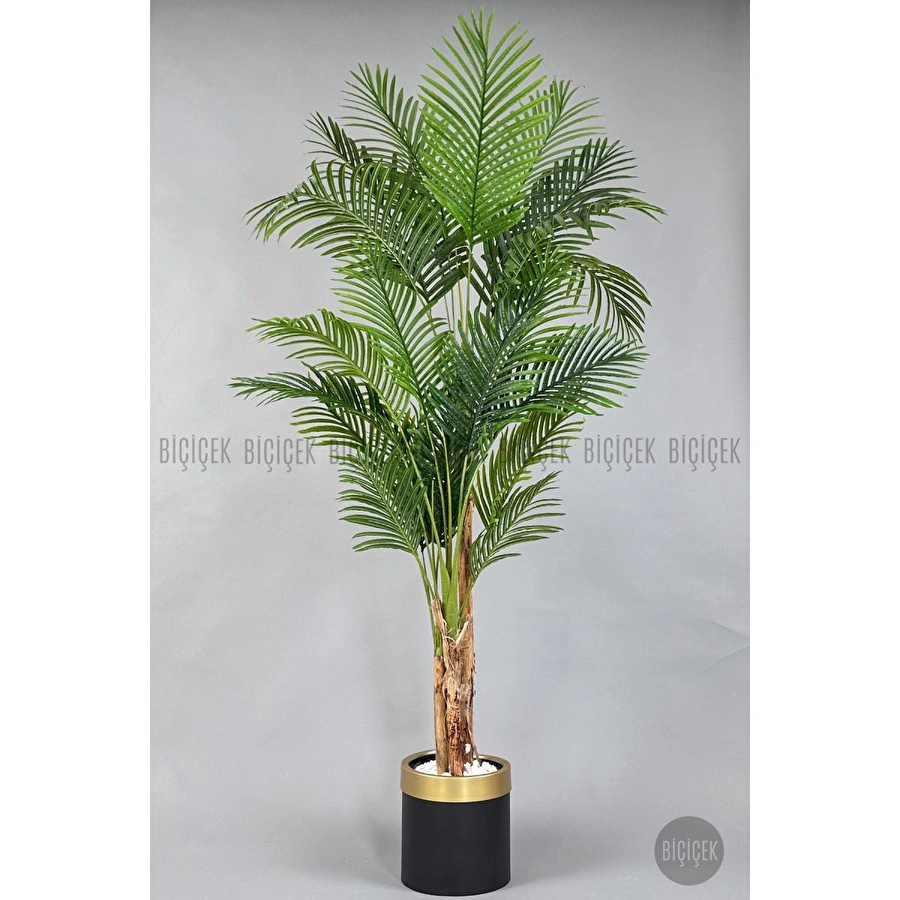 Biçiçek Areka Palmiyesi 220cm Metal Siyah Gold Saksıda