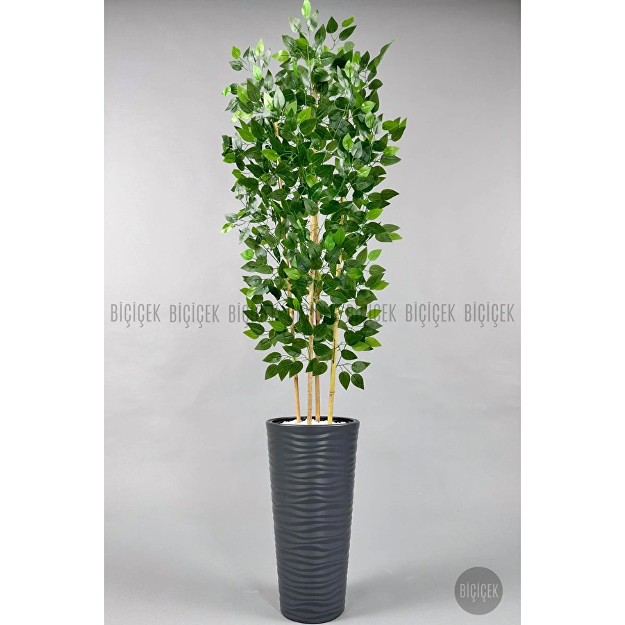 Biçiçek Yapay Benjamin Ağacı 180cm Yoğun Yapraklı Bambu Gövdeli Antrasit Renk Kumsal Saksıda