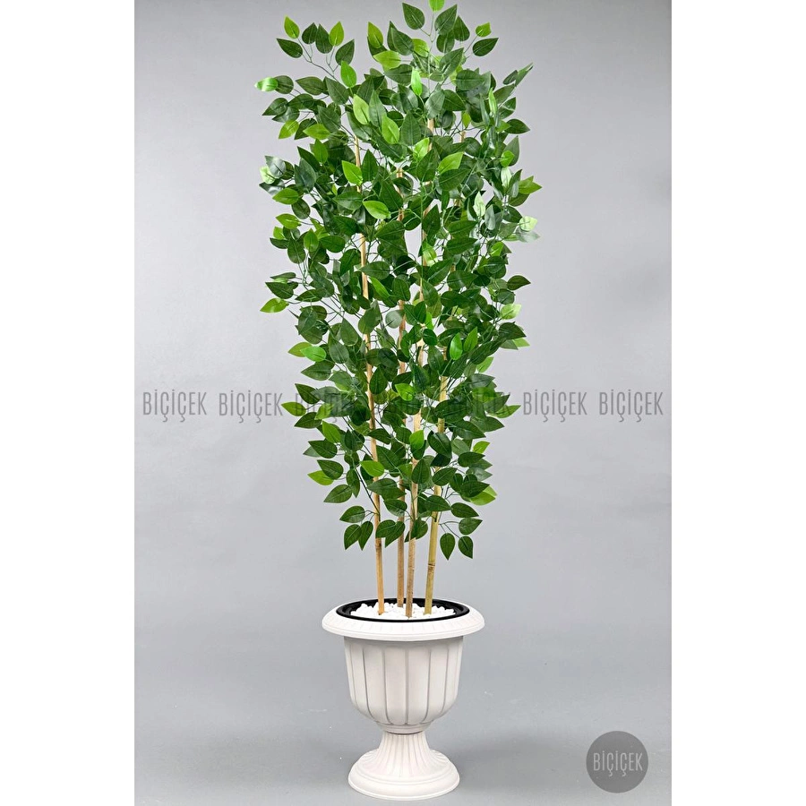 Biçiçek Yapay Benjamin Ağacı 170cm Yoğun Yapraklı Bambu Gövdeli Kırıkbeyaz Renk Nergis Saksıda