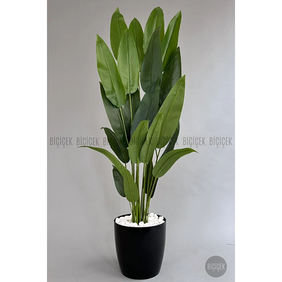 Biçiçek Yapay Ağaç Starliçe 220cm Xxl Boy Siyah Renk Büyük Boy Yakut Saksıda