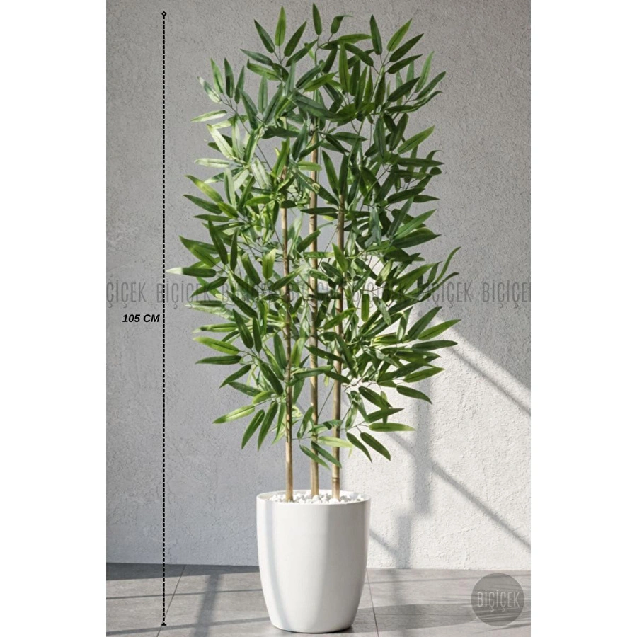 Biçiçek 110 Cm Bambu Ağacı Yakut Saksıda Bej