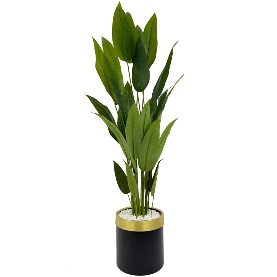 Biçiçek Starliçe 220cm Metal Siyah Gold Saksıda