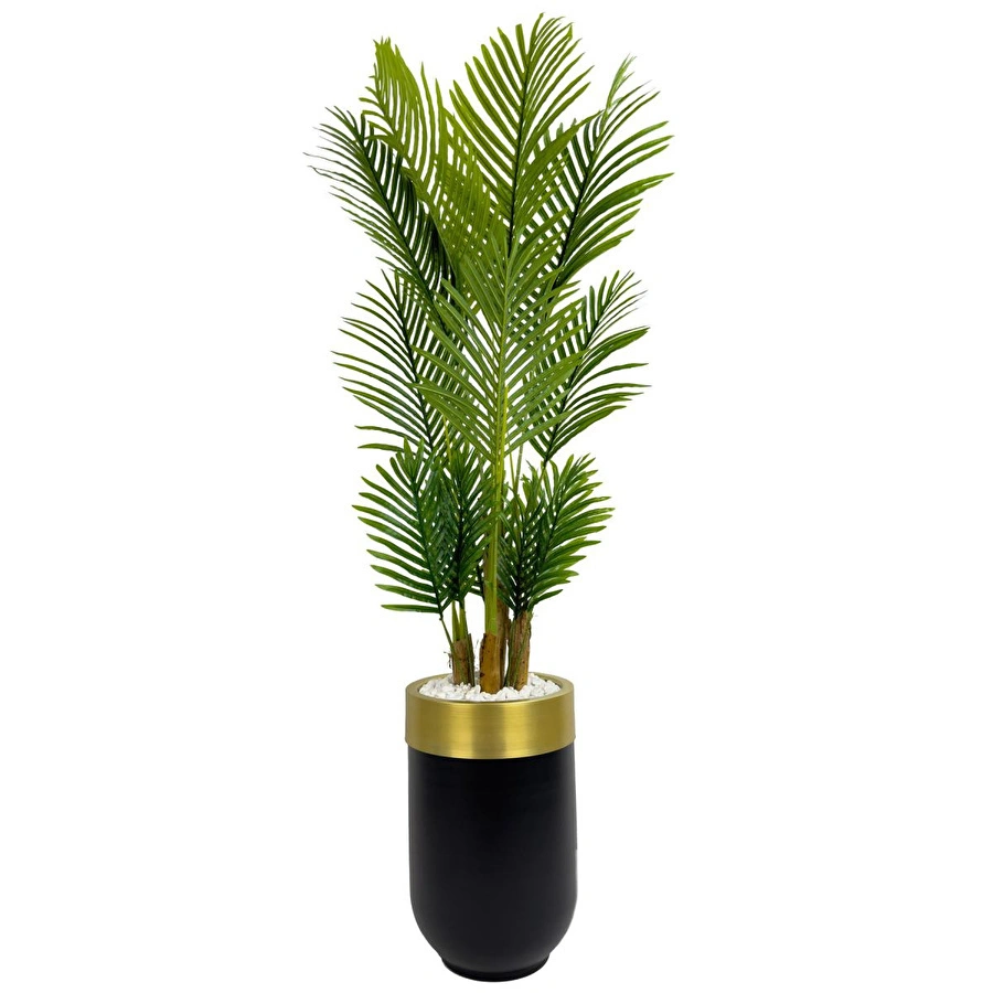 Biçiçek Areka Palmiyesi 160cm Siyah Gold Metal Darbuka Saksıda