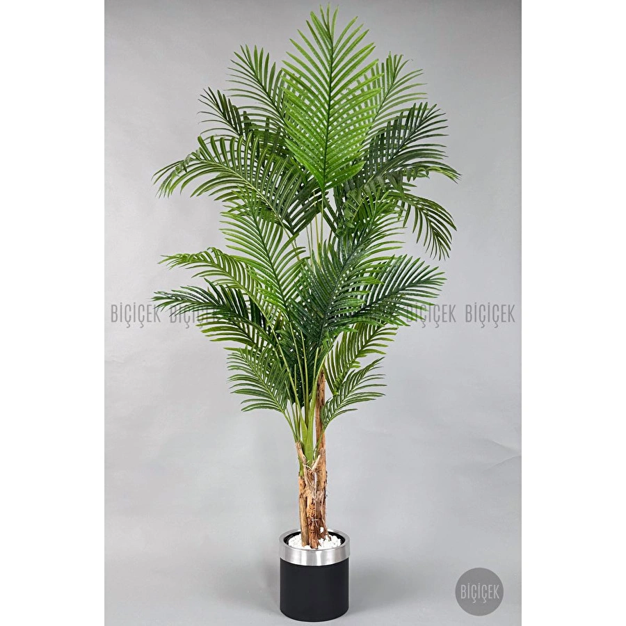 Biçiçek Areka Palmiyesi 220cm Metal Siyah Gümüş Saksıda