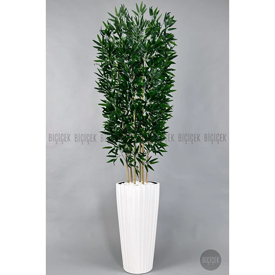 Biçiçek Yapay Bambu Ve Benjamin 6 Dallı Yoğun Yapraklı 220 Cm Beyazbambu