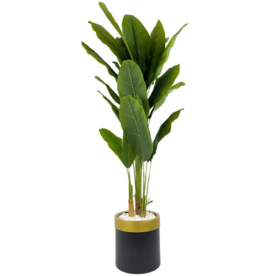 Biçiçek Muz Ağacı 200cm Siyah Gold Metal Saksıda