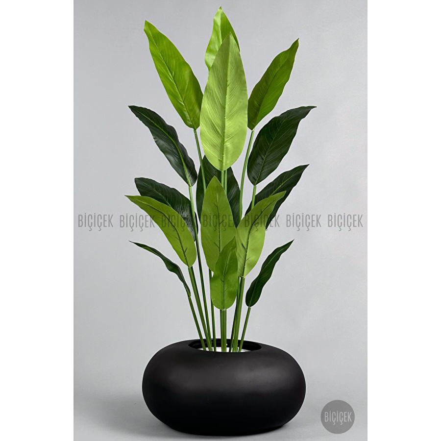 Biçiçek Yapay Starliçe Ağacı 140-170 Cm Siyah3