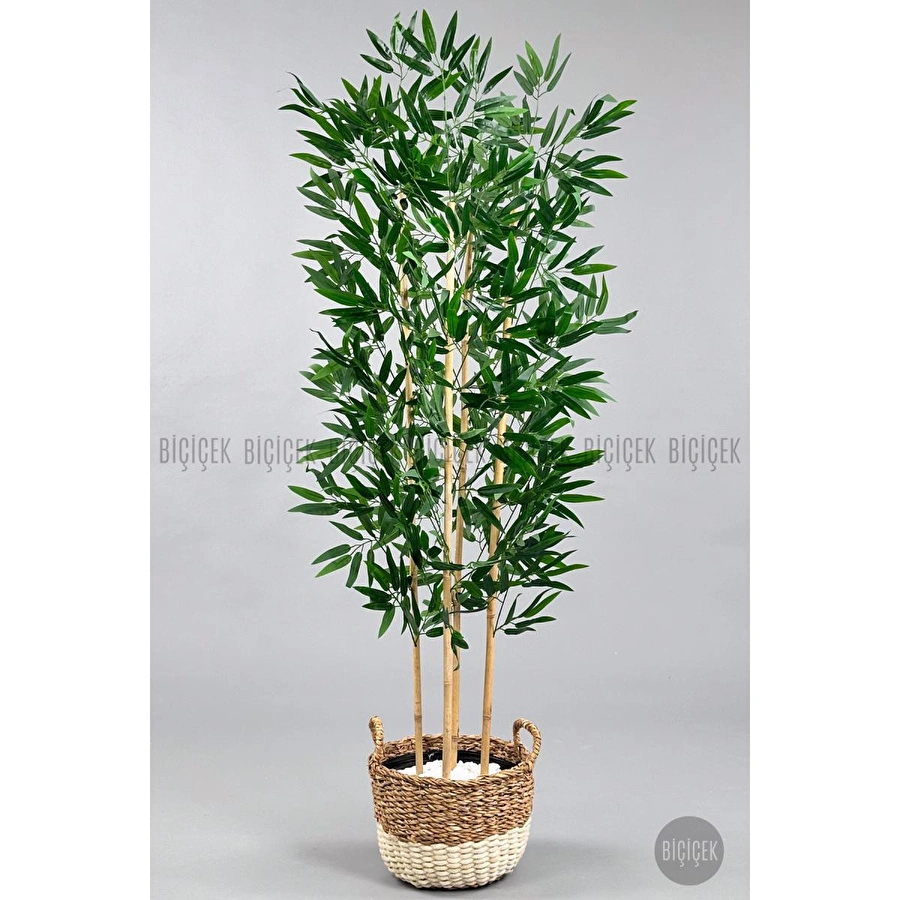 Biçiçek 140 Cm Yapay Bambu Ağacı Krem Hasır Saksıda