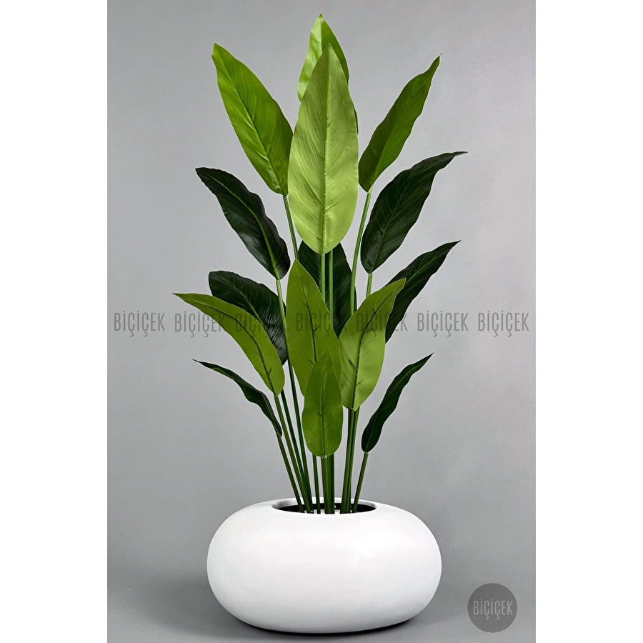 Biçiçek Yapay Starliçe Ağacı 140-170 Cm Beyaz2