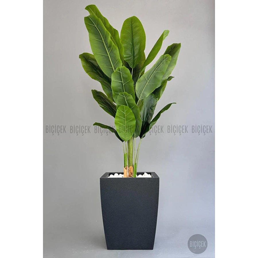 Biçiçek Yapay Muz Ağacı 200 Cm Lux Dış Mekan Saksıda 2