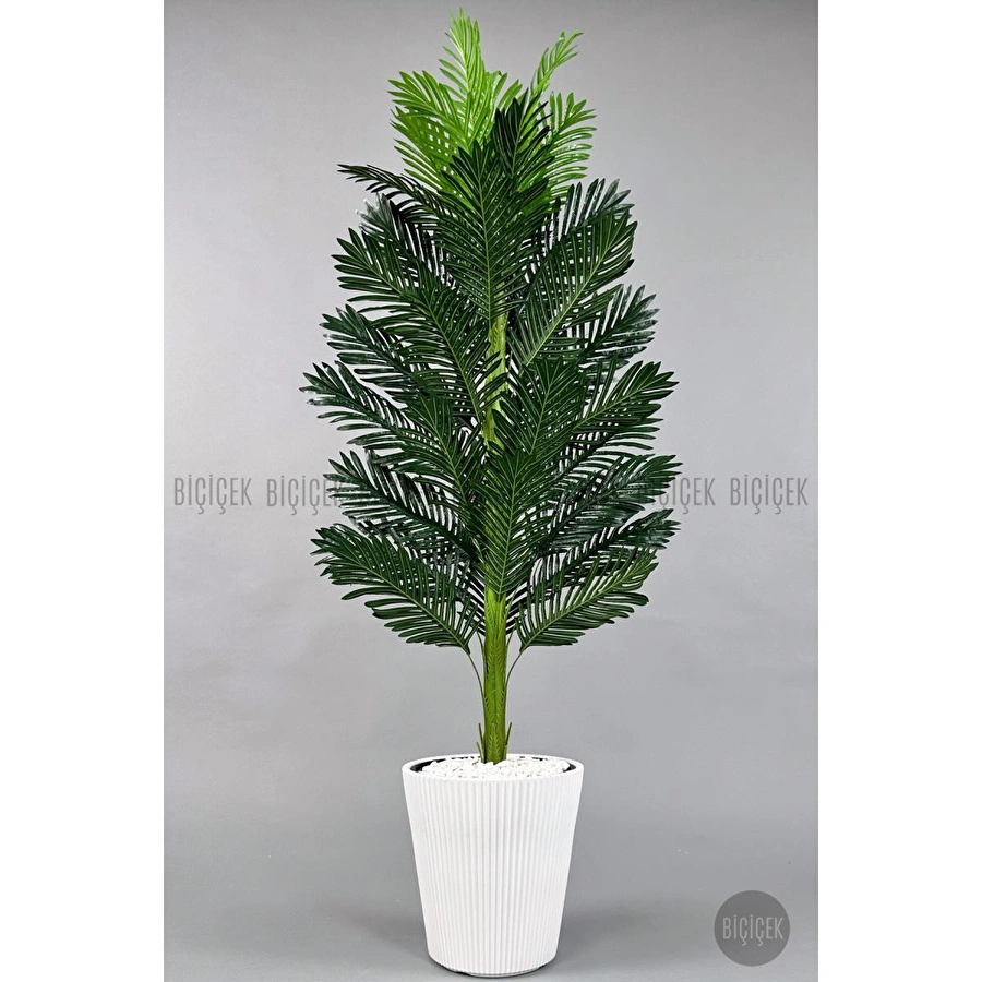 Biçiçek Yapay Areka Ağacı 160-180 Cm Beyazluna180cm