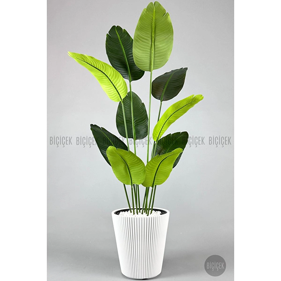 Biçiçek Yapay Muz Ağacı 145-185 Cm Beyaz3