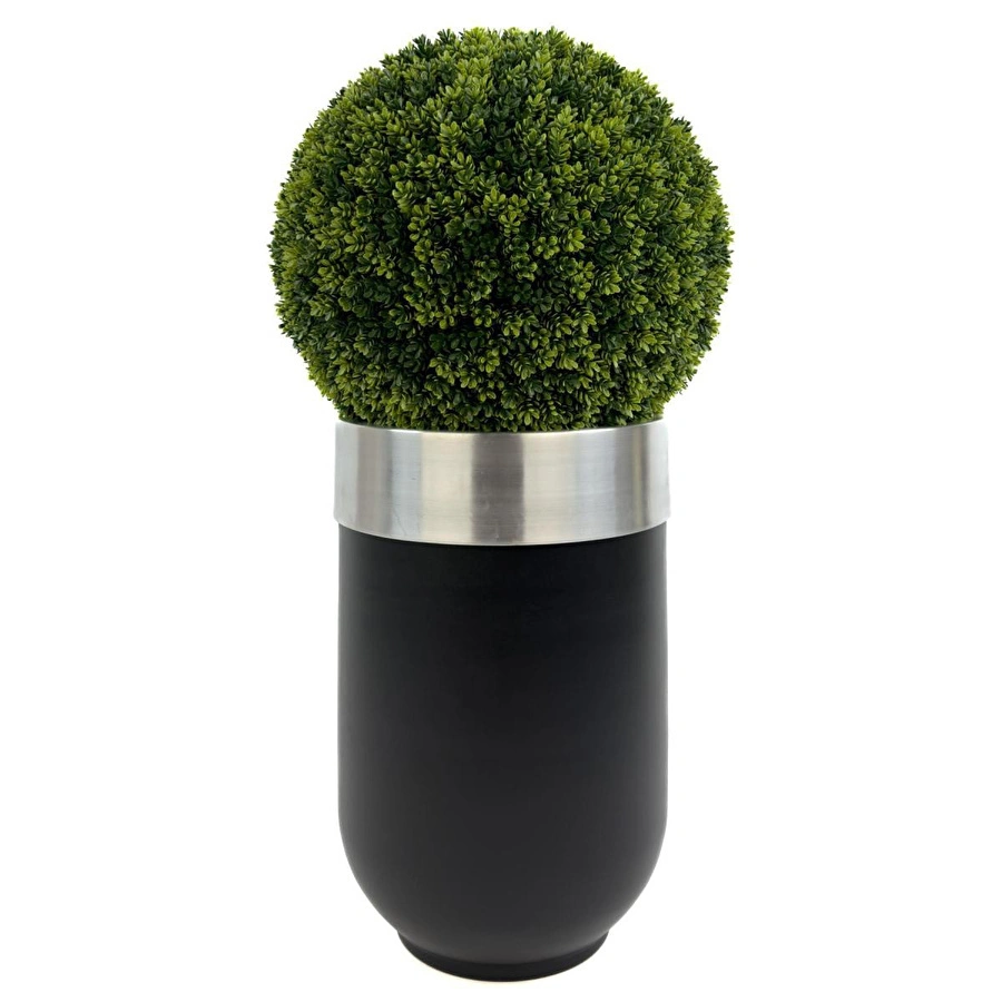 Biçiçek Şimşir Ağacı 90cm Siyah Gümüş Darbuka Saksıda