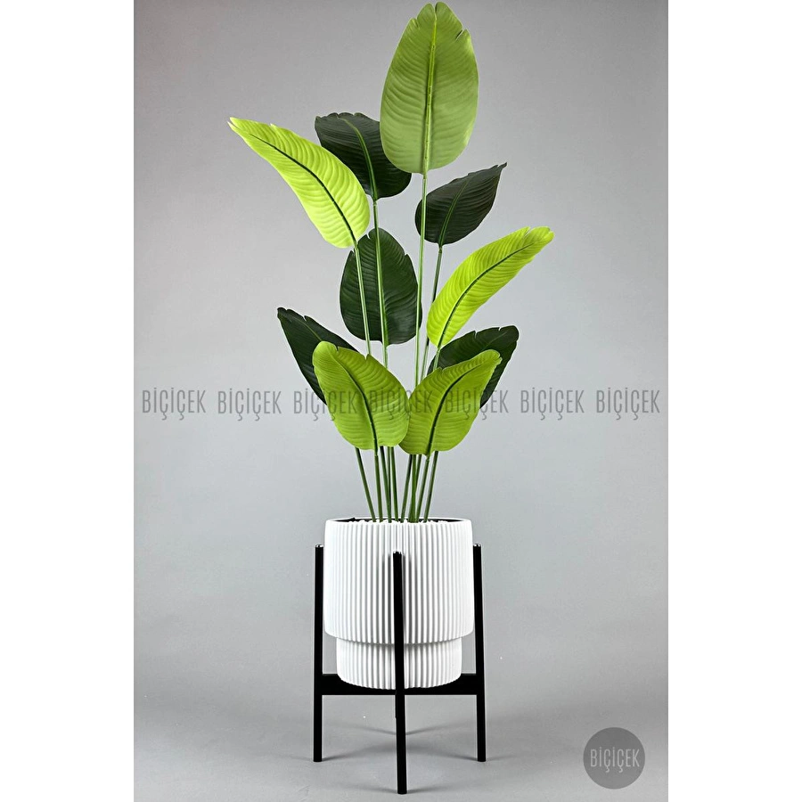 Biçiçek Yapay Muz Ağacı 145-185 Cm Beyaz2