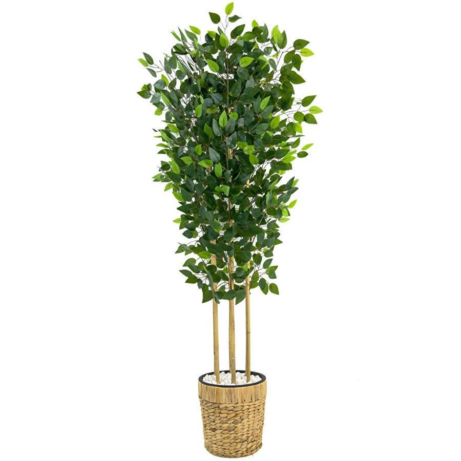 Biçiçek Yapay Benjamin Ağacı 170 Cm Hasır Saksıda