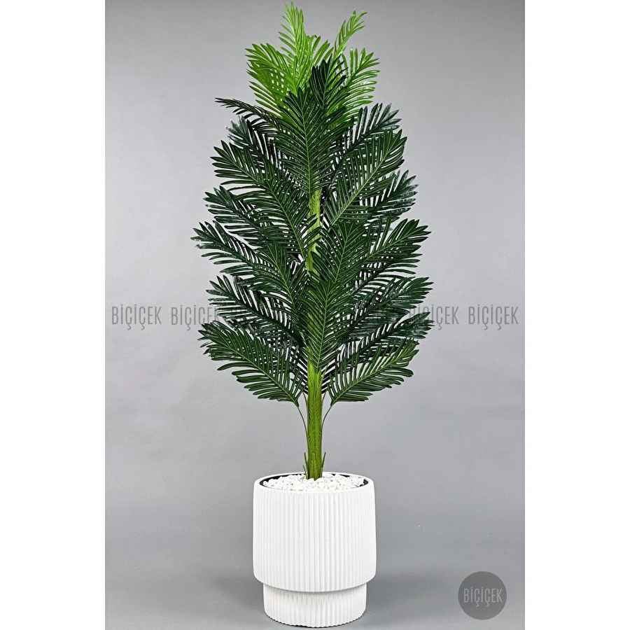 Biçiçek Yapay Areka Ağacı 160-180 Cm Beyazgala180cm