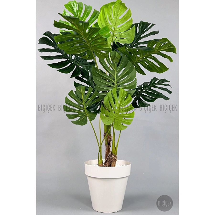 Biçiçek Yapay Ağaç Monstera Bambu Gövdeli 150cm Devetabanı Ağacı Büyük Boy Kırıkbeyaz Renk Yalı Saksıda