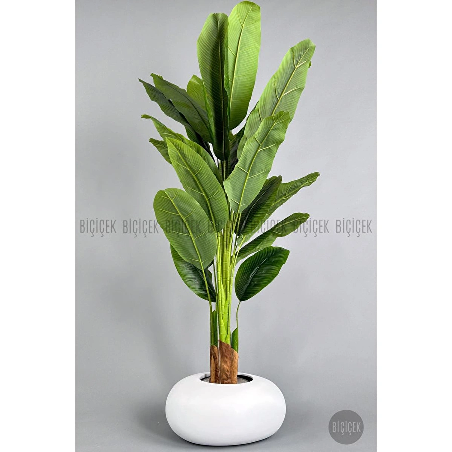 Biçiçek Yapay Muz Ağacı 185-220 Cm Beyaz1