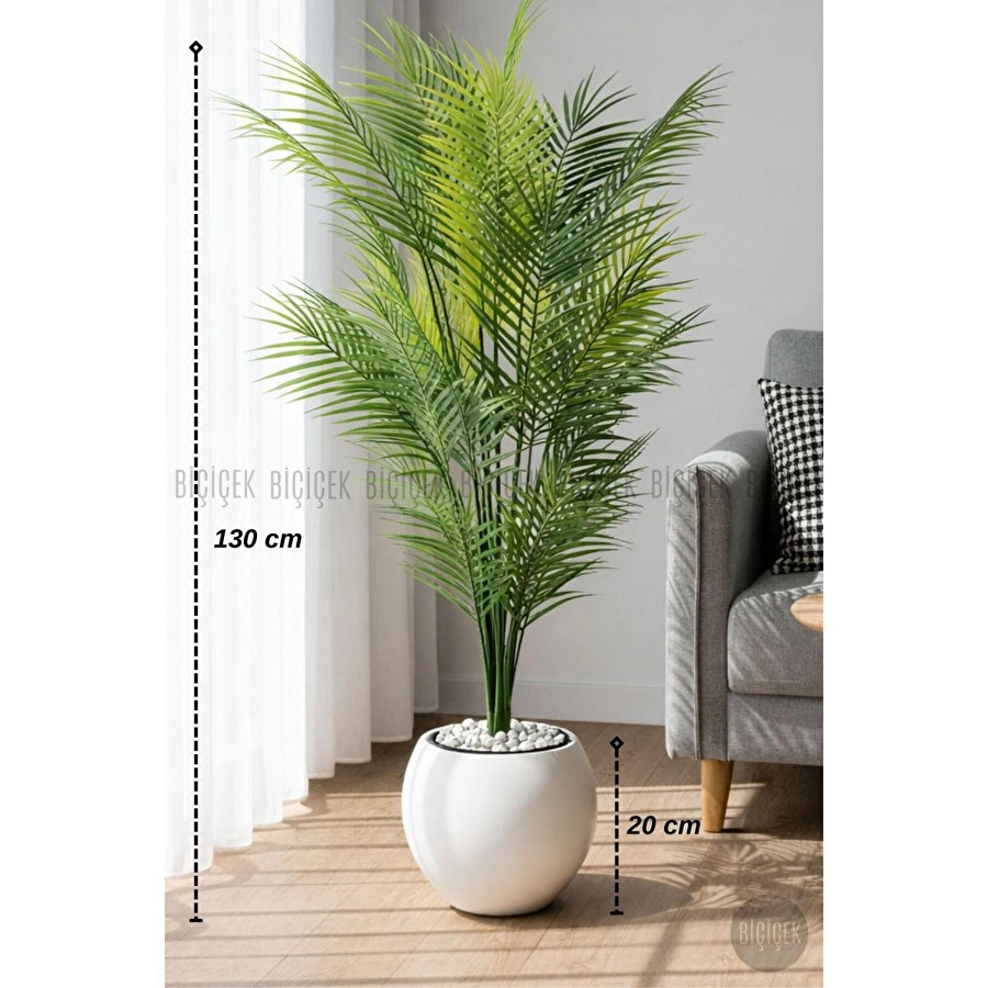 Biçiçek Areka Ağaci 24 Yaprakli 130 Cm Küre Saksida Beyaz